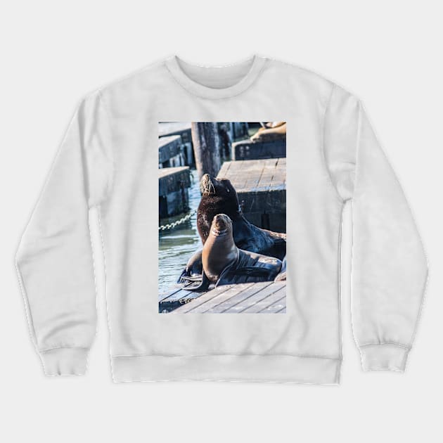 Male And Female Sea Lion Crewneck Sweatshirt by KensLensDesigns